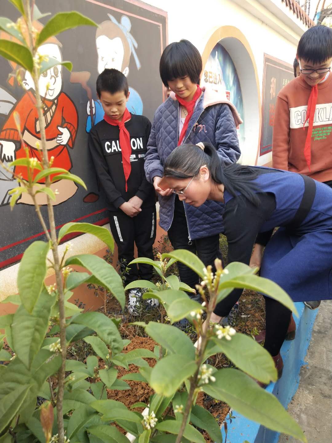 植树节活动照片照片-微信图片_20190312222432