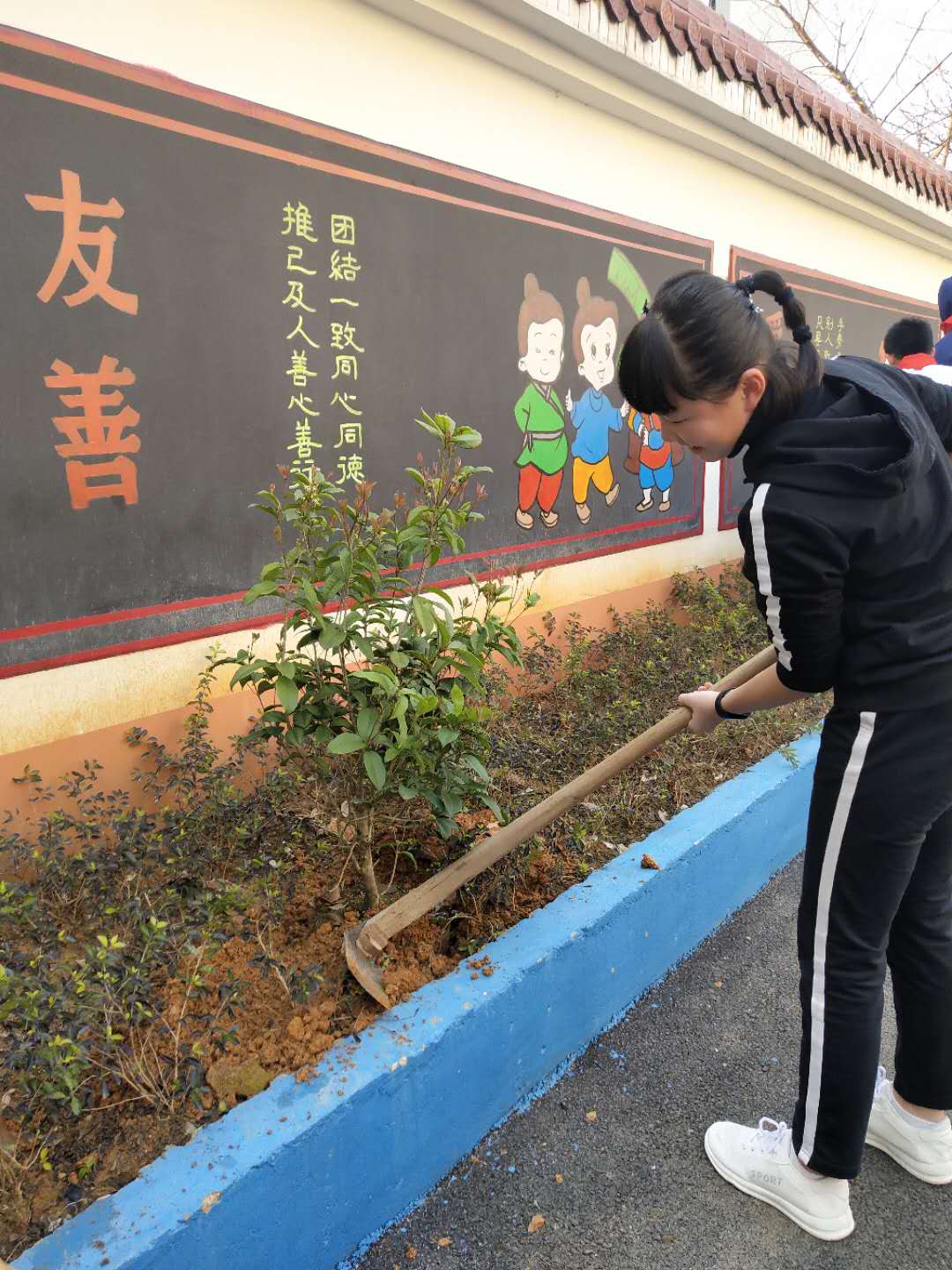 植树节活动照片照片-微信图片_20190312222426