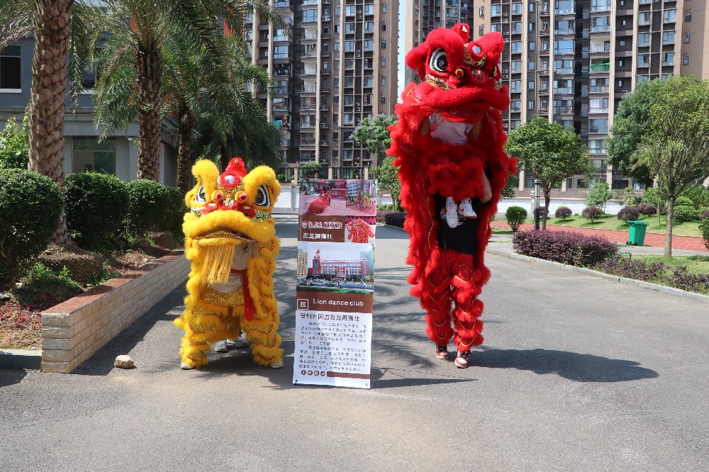 舞龙舞狮社